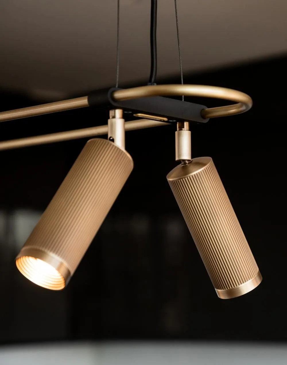 J. Adams Spot Pendant System