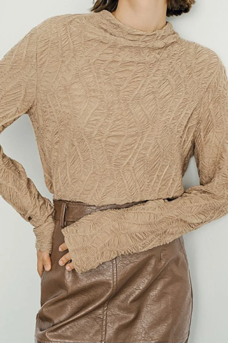 Textured Pleated Mock Neck Long Sleeve Blouse